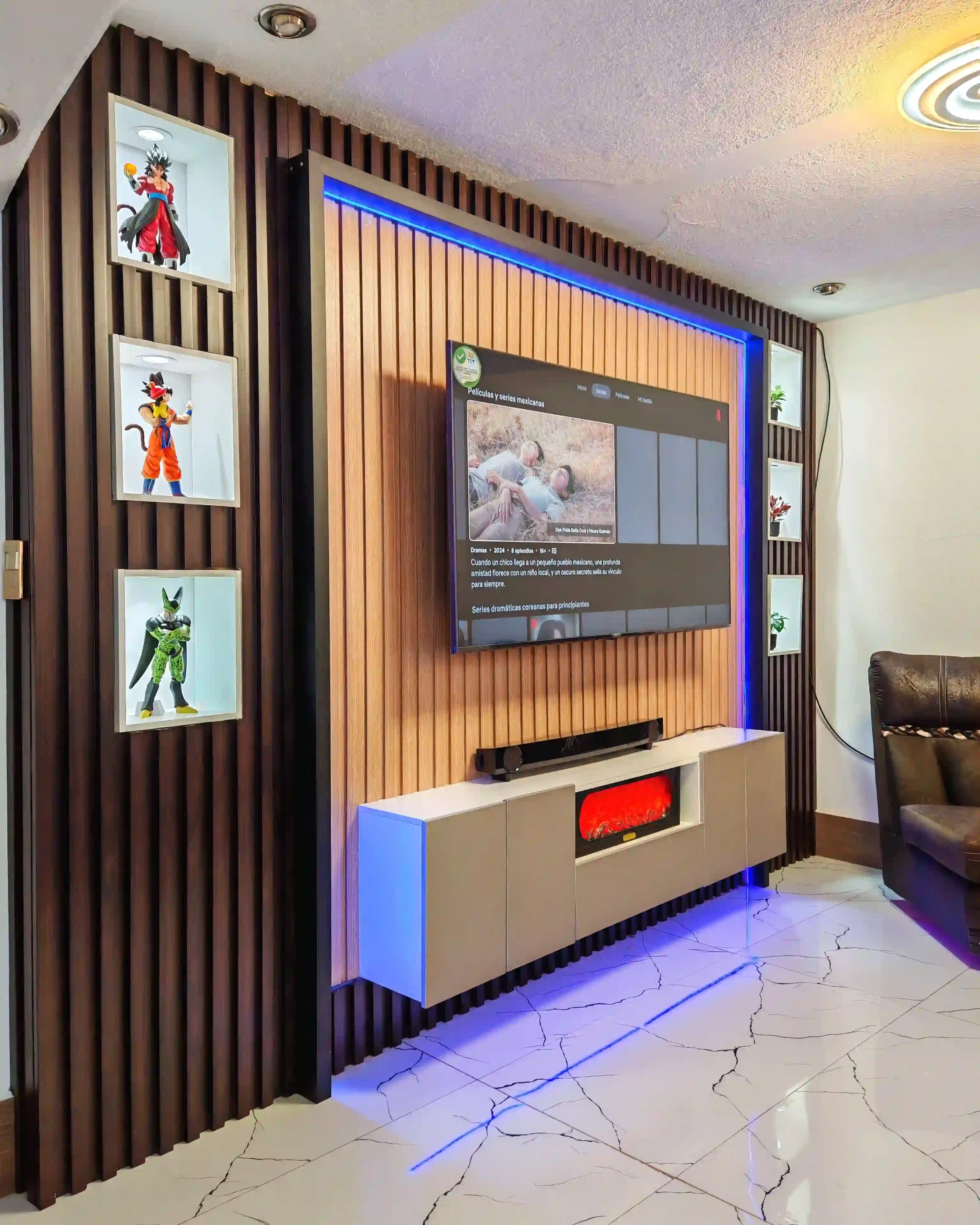 Centro de entretenimiento funcional 5